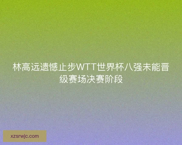林高远遗憾止步WTT世界杯八强未能晋级赛场决赛阶段