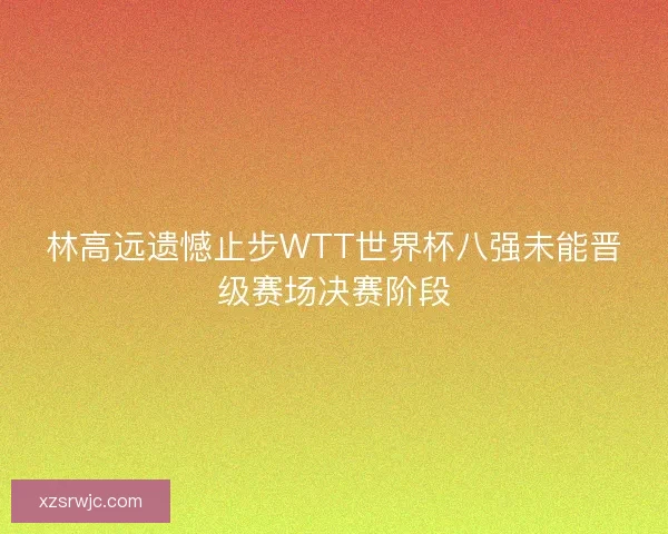 林高远遗憾止步WTT世界杯八强未能晋级赛场决赛阶段